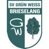 SV Grn-Wei Brieselang