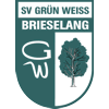 SV Gr�n-Wei� Brieselang